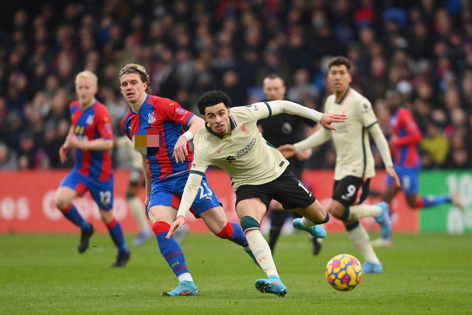 取得了显著 取得了显著